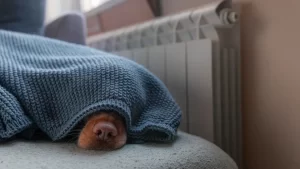 Πώς θα ζεστάνω το σπίτι μου; Ο απόλυτος οδηγός!